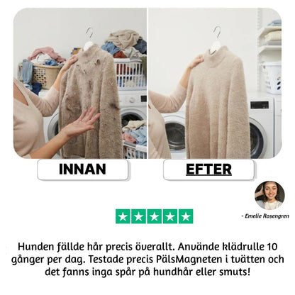 PälsMagneten – Slipp hund & katthår i tvätten för alltid